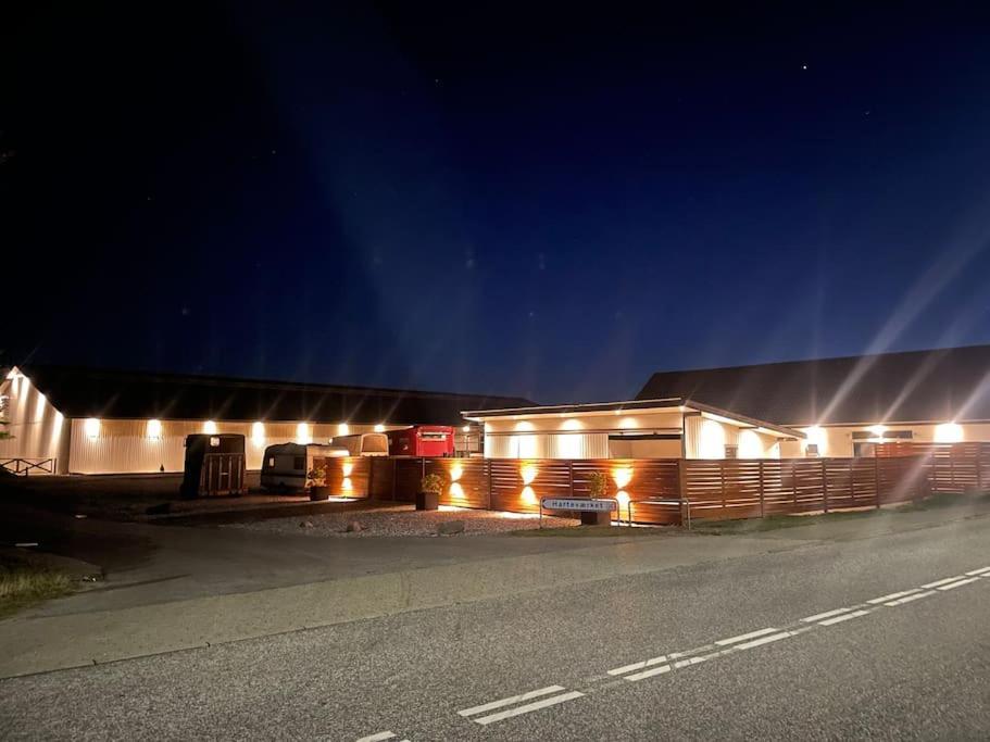Stor Rummelig Lejlighed Med Egen P-Plads Kolding Exteriér fotografie